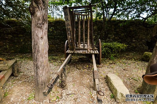 腥风血雨